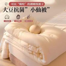 大豆纤维被被芯加厚保暖家用冬天棉被春秋空调单双人宿舍【厂家】