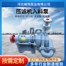 压滤机入料泵50SYA65-15入料加压杂质泵ZJW泥浆抽沙泵耐磨耐用