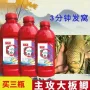 野钓发酵红虫麝香酒米