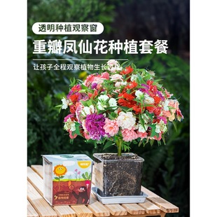 �P�ɻ��N�����bС�W���ƌW����^��ָ�׻���ͯ�NֲС����ֲ��N��