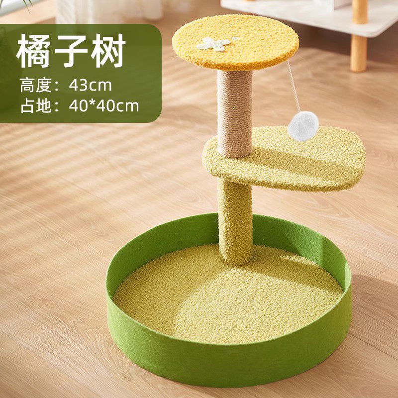 오렌지 나무