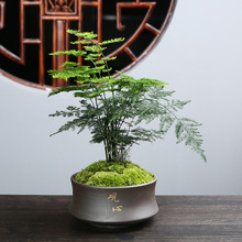 ��ɰ�҃��辰�M�ϾGֲ��������͸���������ֲ������С���մɻ���