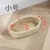 Oval grass nest trumpet