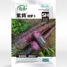 黑紫胡萝卜种籽四季大田秋季特色蔬菜紫维胡萝卜种子孑高产脆甜