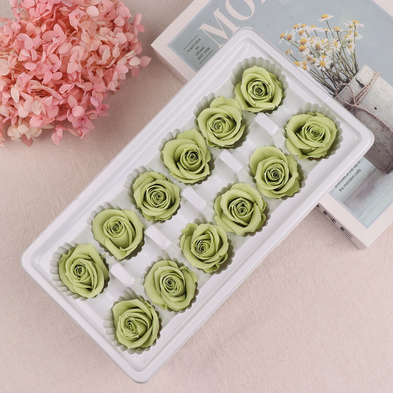 Cabezas de Rosa Eternas A+, 3-4 cm, 12 Piezas, Materiales para Manualidades Florales, Caja de Regalo, Fabricante, Venta al por Mayor