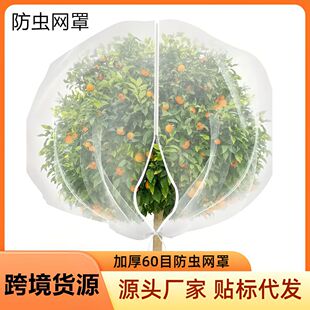 �羳؛Դ���x�W�ֳ��K���ֲ����x�W�ֲˈ@������B�W���@���x�W