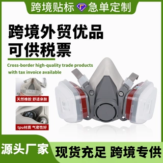 跨境6200防毒面具喷漆农药化工防异味甲醛装修打磨粉尘防尘毒面罩