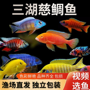 ���������~�R�����w̹���s���~�җ���ˮ�~���Ϳ��{���g���������~