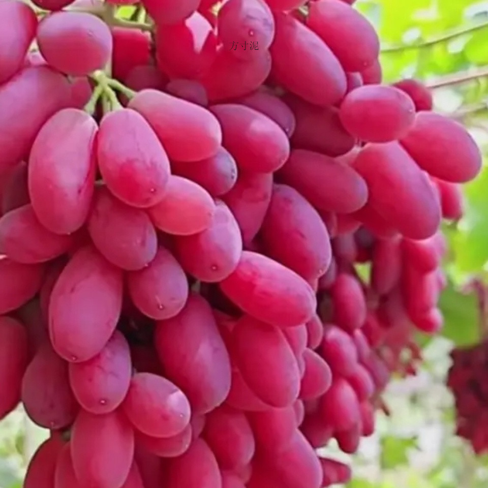 2caf20dc-7985-4f04-8282-37e65ac42a01.jpe