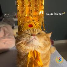 &dArr;؈��ʵ�ñ�m͢�^����ֹ����^�׌�����ʼ���^��cos���ճ�