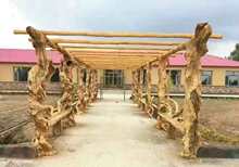 水泥塑石仿木葡萄架实木庭院户外凉亭防腐木拉线爬藤网效果图