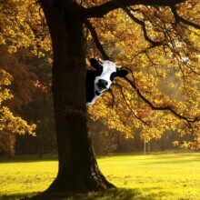 �羳��Ʒ�Fˇţ���ڒ���b���վ��������Fˇ�b�