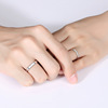 Accessory suitable for men and women, ring for beloved, silver 925 sample, Korean style