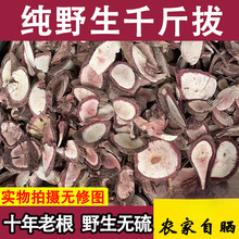 �����ǧ���Ҝ��ݾ��ϰ�ǧ��һ�l����ţ������荵��LҰ����