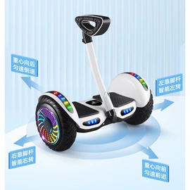 滑板车;平衡车;其他骑行用品