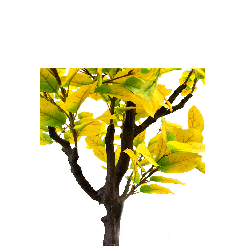 XRS-036 秋色梨树叶 (2).jpg