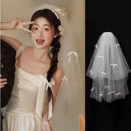 发夹;头纱;发带