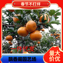 �������_���Խ�����l_���������Ә����^�p�����o�˼޽ӹ�����