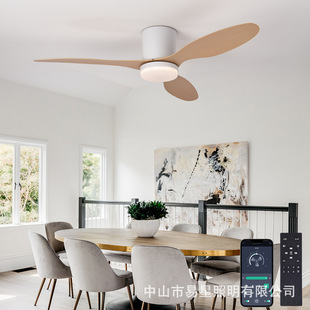 2025 Ceiling Fan Light for Dining Room, Bedroom, Office with Fan, Simple Cross-Border Special Three-Color Dimmable Chandelier