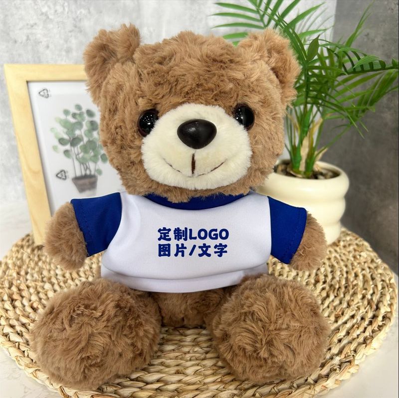 公仔小熊换衣服T恤校服毛衣娃娃毛绒玩具玩偶来图来样印制logo|undefined