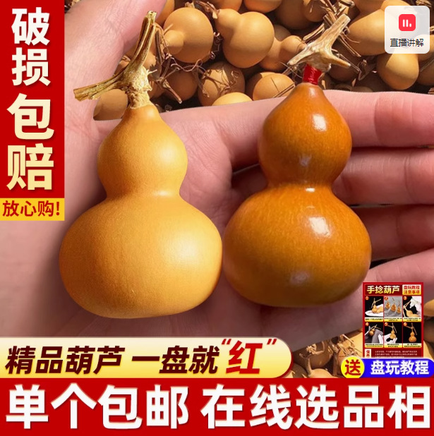 天然小葫芦手捻文玩精挑绕指柔小葫芦手把件龙头周正胖墩草里金串