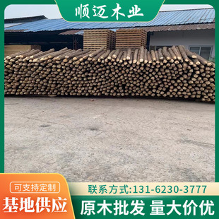 Fir Wood Piles for Riverbank Stabilization, Slope Protection, and Dam Protection; Flood Control and Prevention Projects; Tapered Fir Wood from Xiangshan Forest Farm Direct Delivery