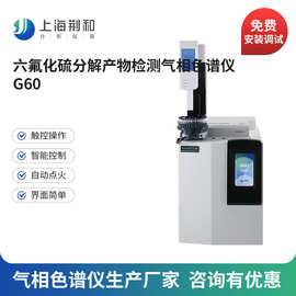 荆和 六氟化硫SF6分解产物检测专用气相色谱仪氦离子检测器色谱仪