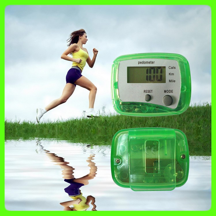 4177842444_1408106132