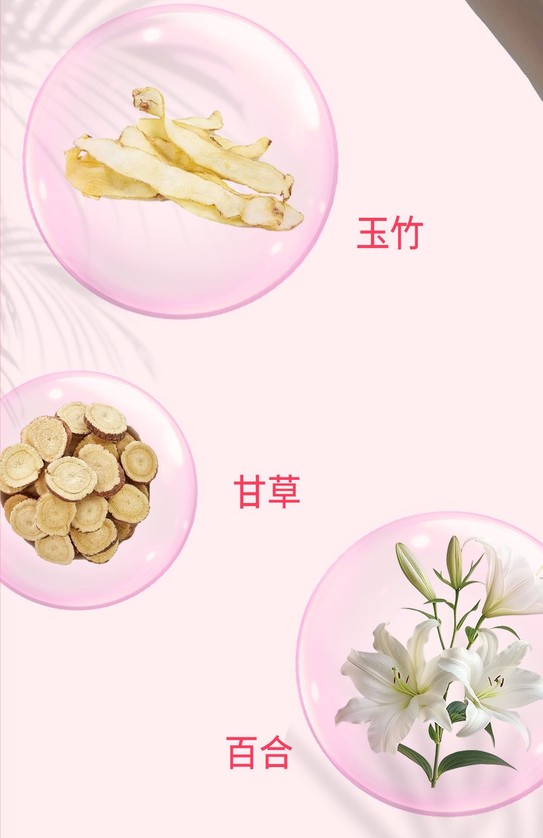 Deep-Sea Fish Collagen Peptide Drink (小分子肽) — 400ml Oral Liquid, Small-Molecule Marine Collagen quality and texture