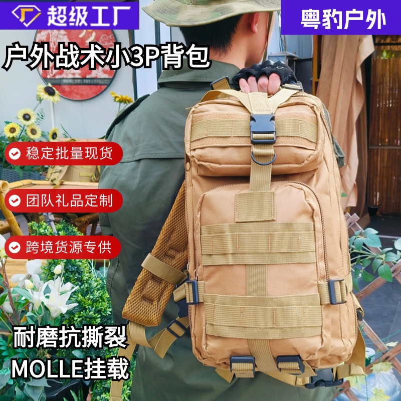 Bolsa táctica de Montañismo al aire libre, equipo de entrenamiento, mochila de camping, tela Oxford 600D, resistente a desgarros, pequeña mochila de almacenamiento 3P