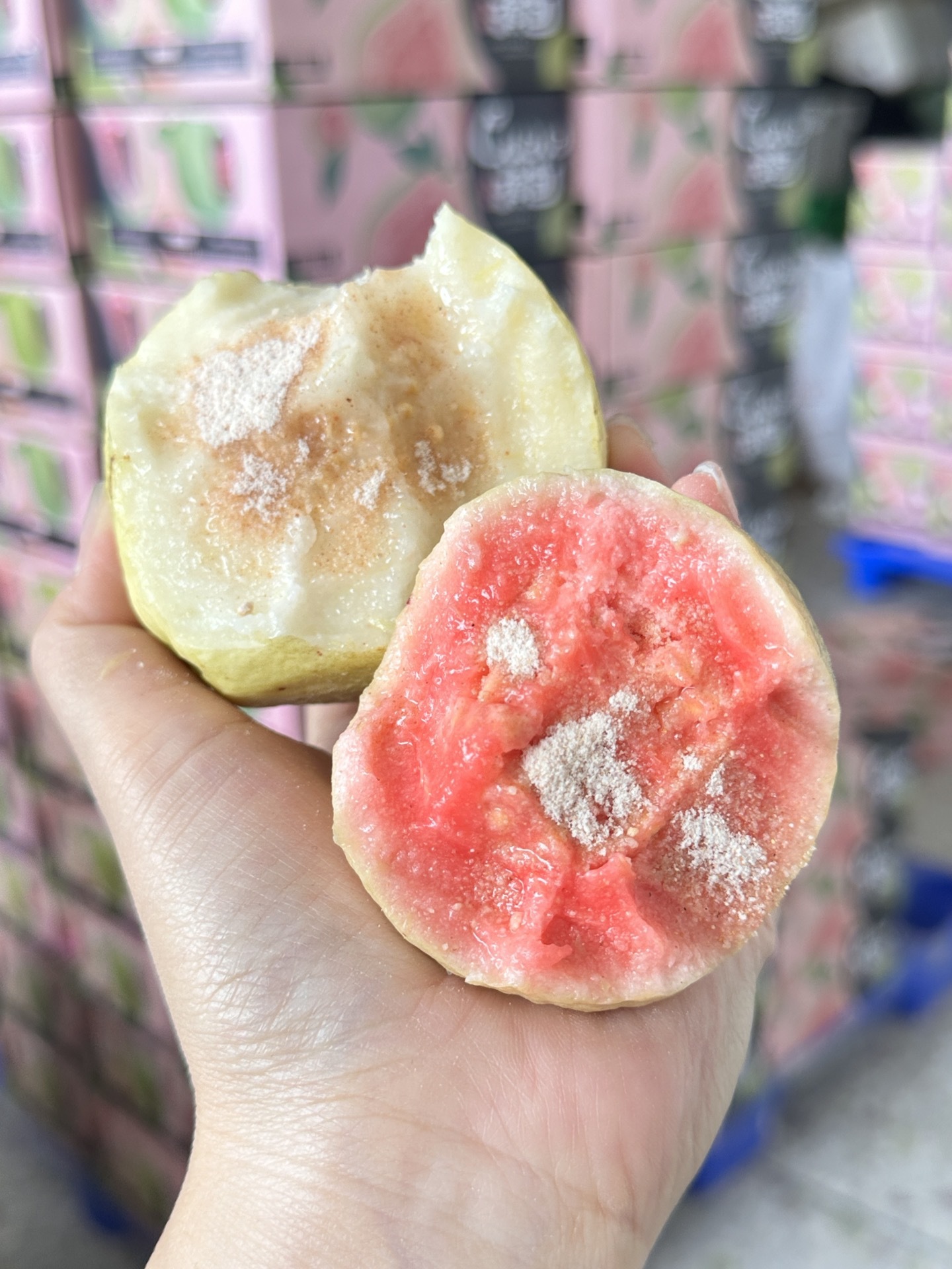 微信图片_20251119212845_283_10