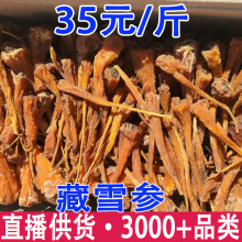藏雪参 藏血参 西藏雪参 一件代发 量大从优
