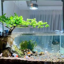 ˮ��÷�쾰ˮ��Gֲԭ��Ϫ����ˮꑸ������׻����Bˮ���Ϙ�����