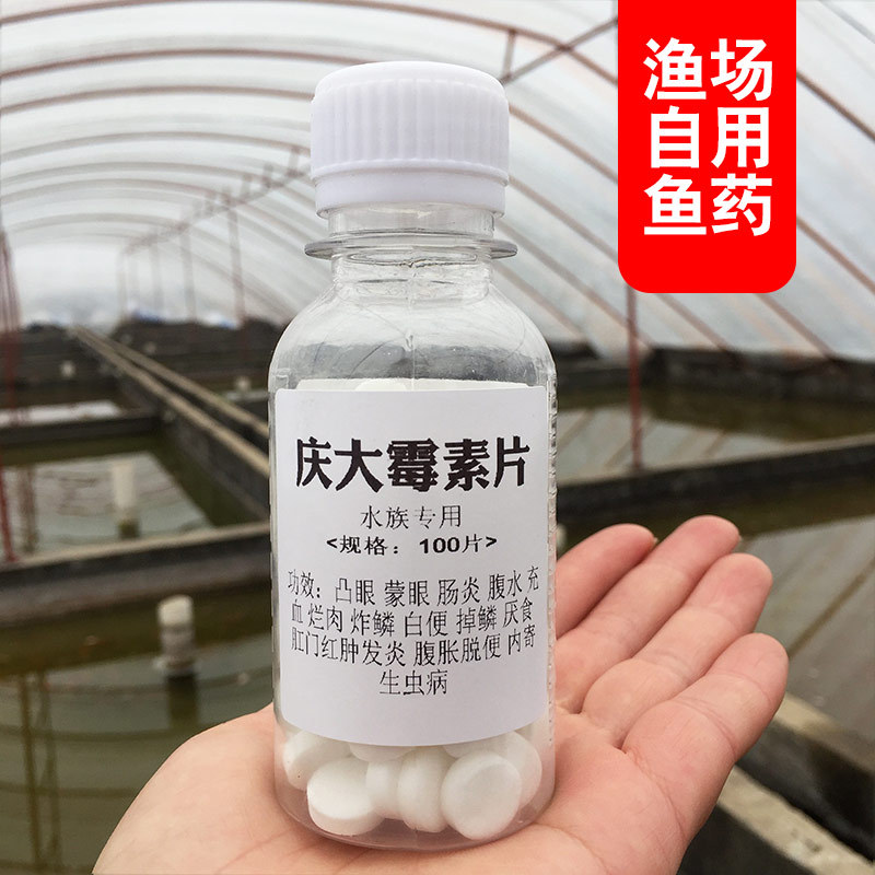 庆大霉素鱼用水族治疗锦鲤金鱼炸鳞烂身烂尾烂鳍充血鱼缸水族鱼药