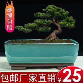 宜兴紫砂花盆包邮多肉方盆桌面绿植釉盆透气简约花卉盆栽