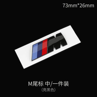 in glossy or matte black, Car logo - standard-m