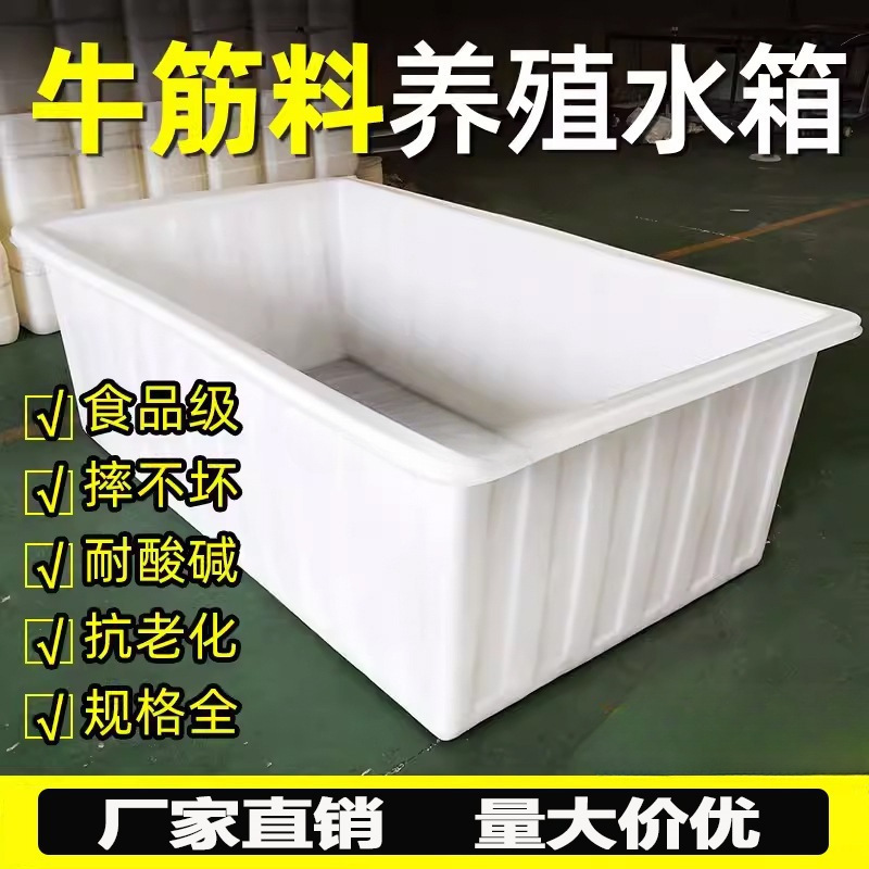 大号加厚牛筋塑料水箱长方形储水桶水产养殖方桶养鱼卖鱼牛筋浅盆|undefined