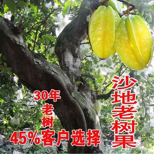 �������r�����ˮ���������ЋD̨���t��������������l���]