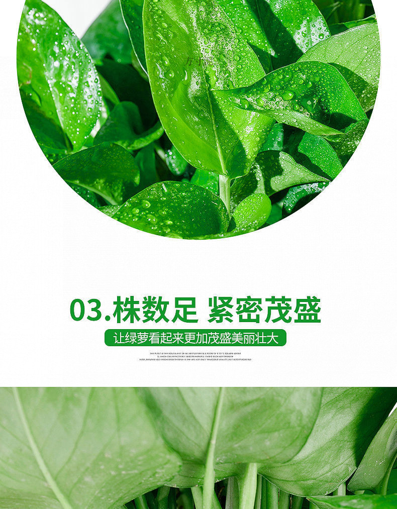 da22d764-e856-4311-a266-baf000722ea5.jpe