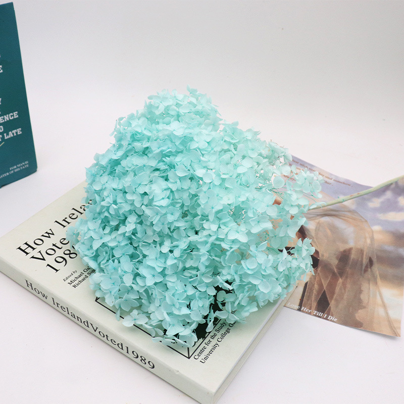 라이트 티파니 블루