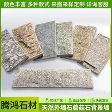 ��ȻĢ��ʯ�Ļ�ʯ�e��ͥԺ�⠝�u��ʯ�廢Ƥ�S�Ļ��u�S�ҹ���