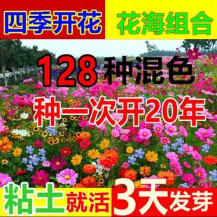 ���N�����ļ����N�_��ͥԺ��ţ���N�Ӹ�ɣ���f�۾ջ��N��Ұ���M��