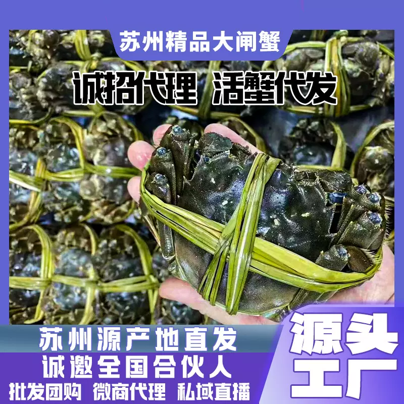 苏州大闸蟹代理加盟中秋礼品大闸蟹礼盒原产区核心养殖顺丰发货