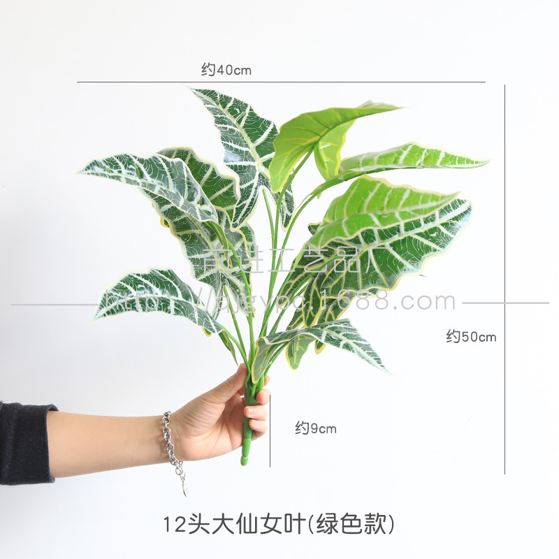 Fairy leaf green
