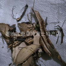 走游草,别名,藤五甲,崖爬藤,爬山虎,中药材毛叶崖藤的根或全株