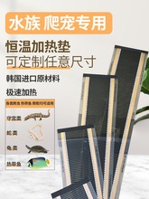 ���x���ӟ�|15-20���~�Ꭷ����������،m�Ӝذ�ӟ�Ĥ�a��