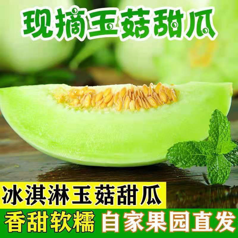 玉菇甜瓜蜜瓜10斤新鲜水果批发当季脆玉茹香瓜哈密瓜羊角蜜2/5斤