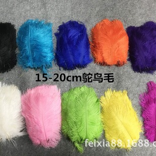 ��ɫ��ë*�M���r�Bë15-20cm �ݳ���ë ��c��ë ����Ȼԭ֧һ��