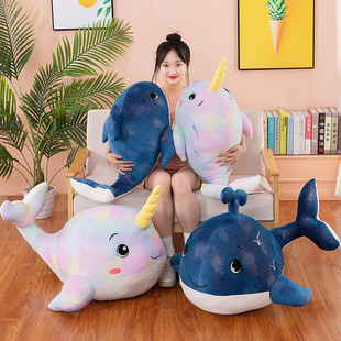 �¿��L�~����ë�q������~ë�q����Ųʪ����L���������^��ͯ�Y��