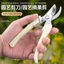 花艺剪子修枝剪弹簧手动摘果剪修花农用剪树枝专用剪子园艺剪刀枝